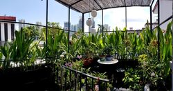Tiong Bahru Estate (D3), Apartment #352447261